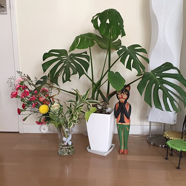 実例写真
