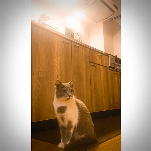 chondyさんの実例写真