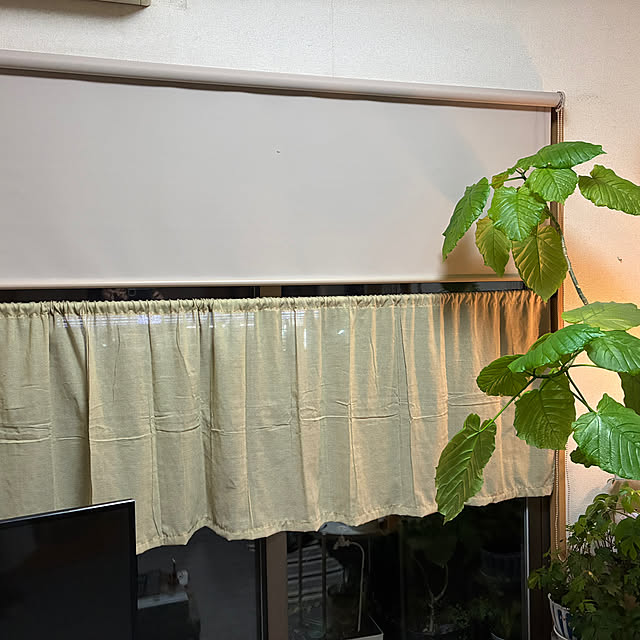 cagosukiさんの実例写真