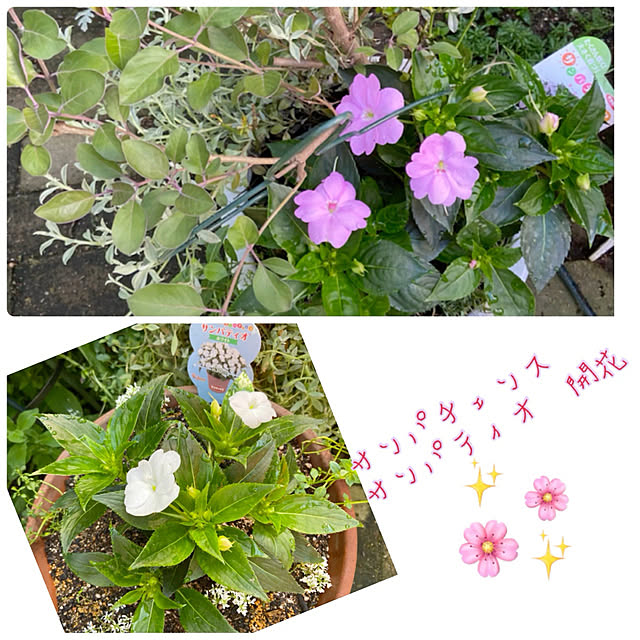 na-chanさんの実例写真
