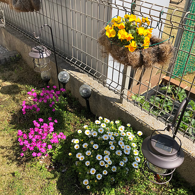 miukiさんの部屋
