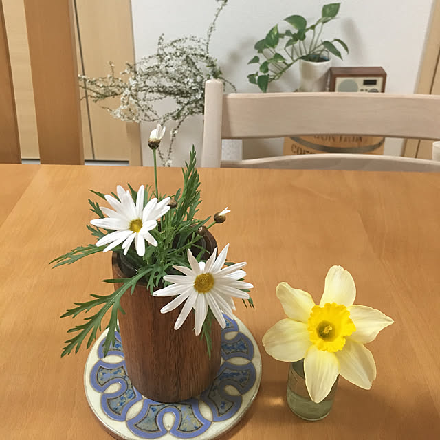tokimaさんの実例写真