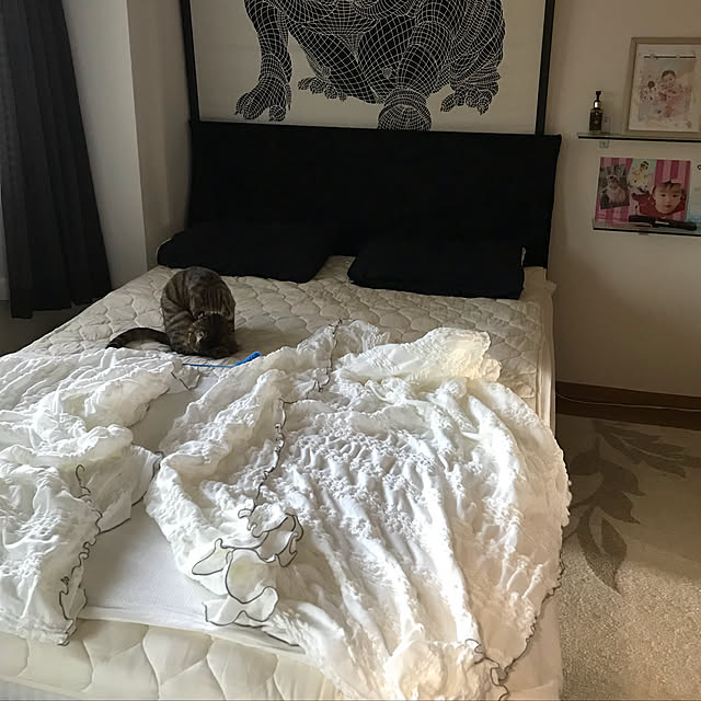 momoさんの実例写真