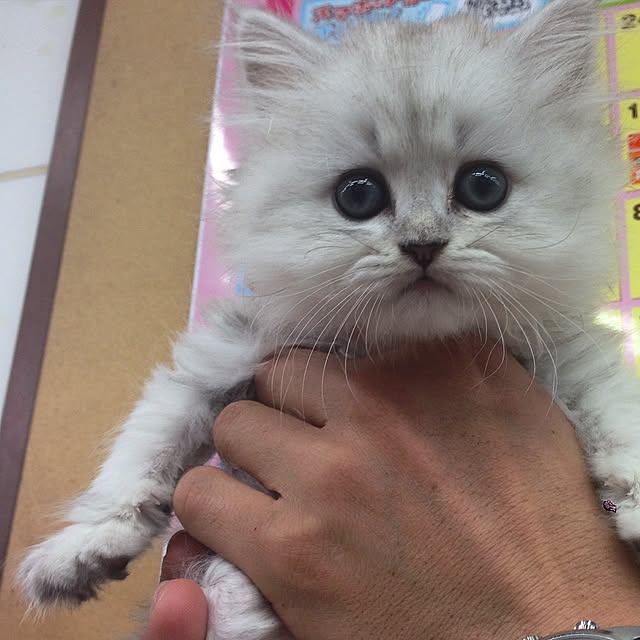 riorio1015さんの実例写真