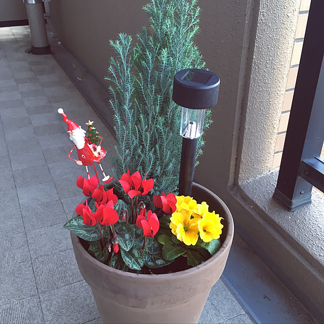 Maikoさんの実例写真