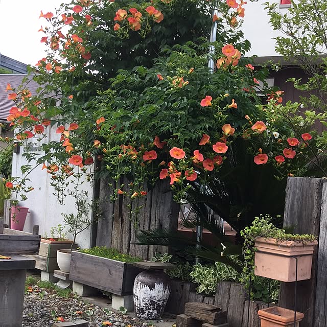 S72さんの実例写真