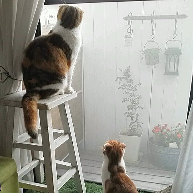 mikiさんの実例写真