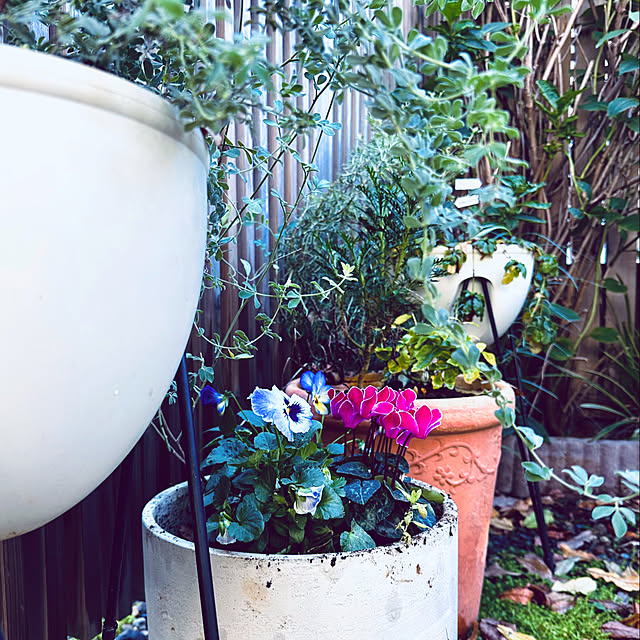 chacoさんの部屋