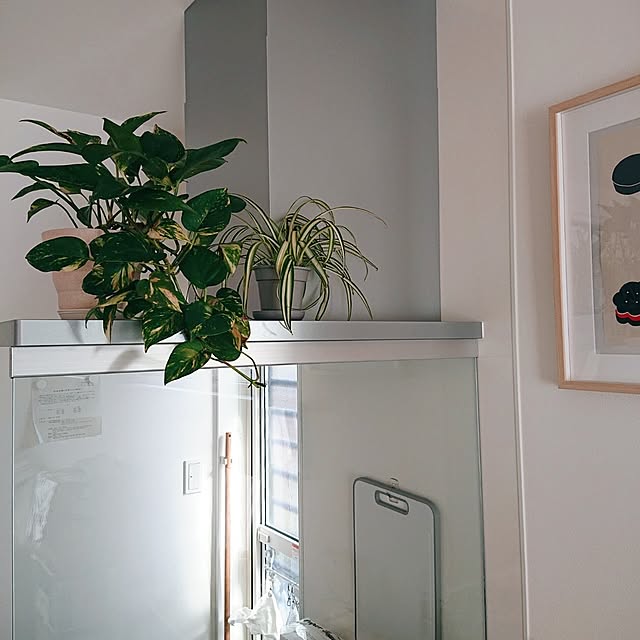 otokiさんの部屋
