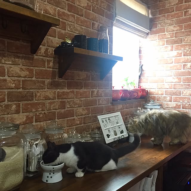 butachanさんの実例写真