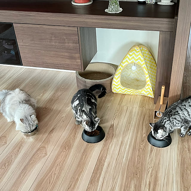 akimamさんの実例写真