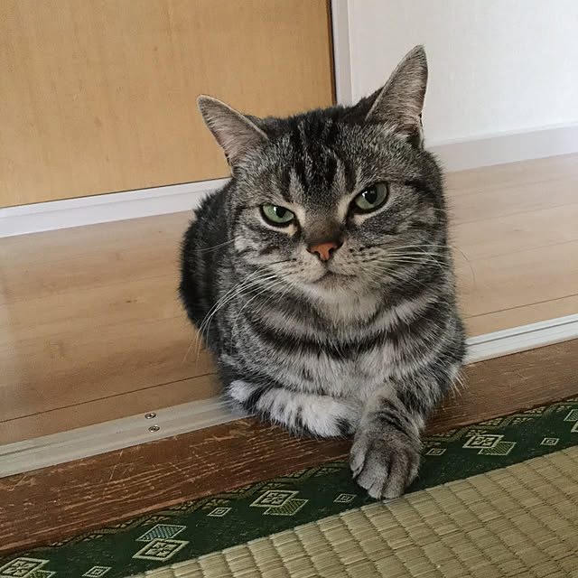 richanさんの実例写真