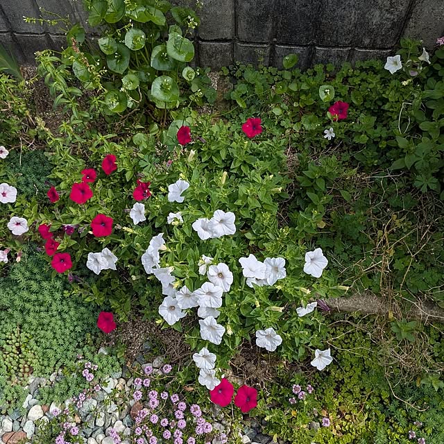 machikomamaさんの部屋