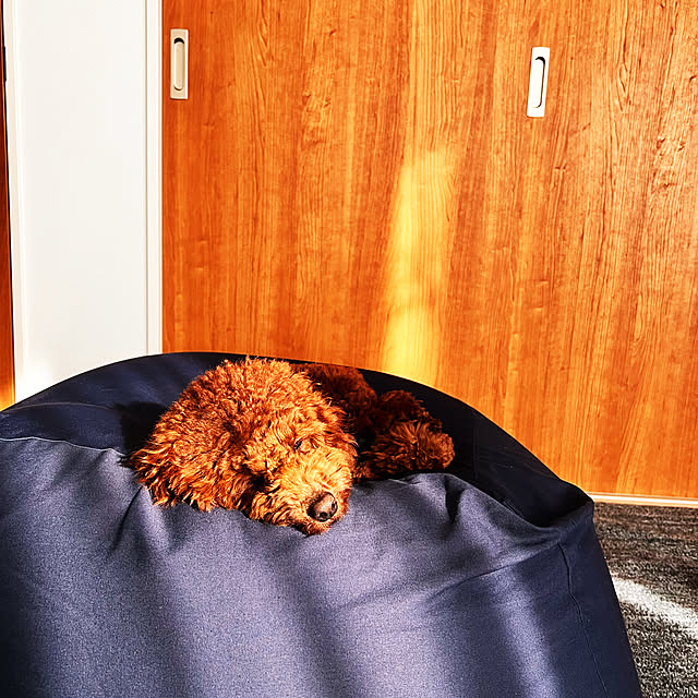 nanさんの実例写真