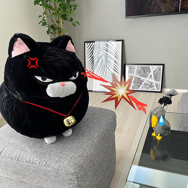 qooさんの実例写真