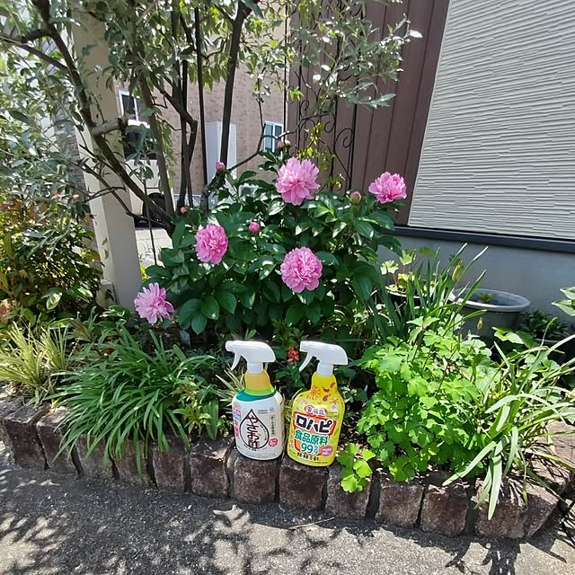 mutsuさんの実例写真