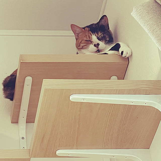 karenさんの実例写真