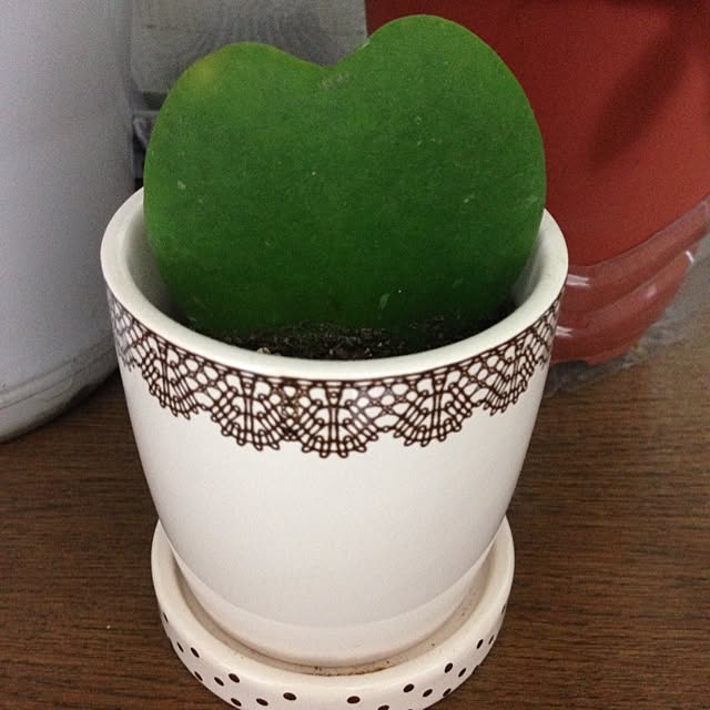 naさんの実例写真