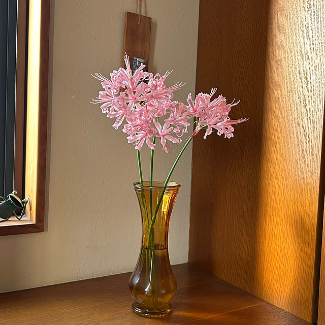 Fuku222さんの実例写真