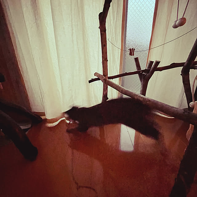 Mさんの実例写真