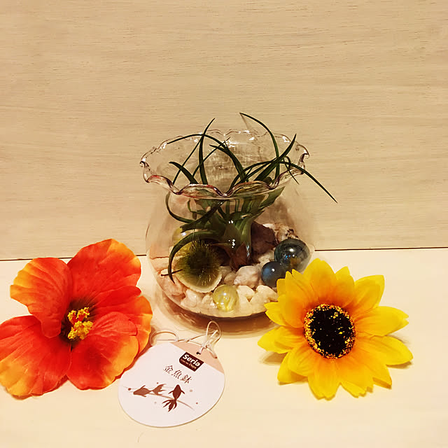 shigetanさんの実例写真