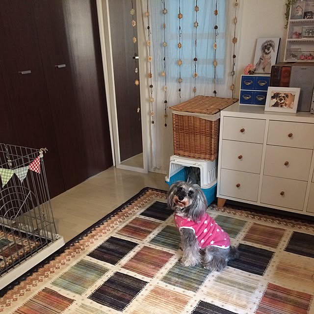 nontanさんの実例写真