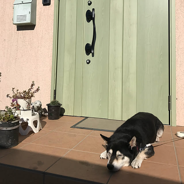 実例写真