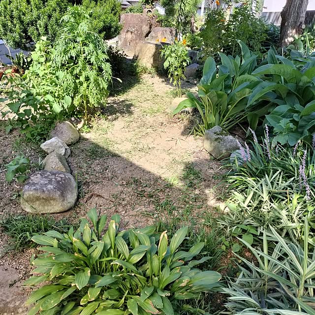 sumimarumiさんの部屋