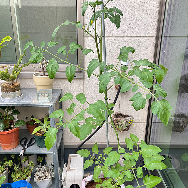 yu-rinさんの部屋