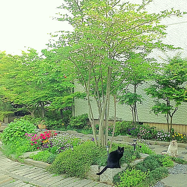 marrymisuzuさんの実例写真