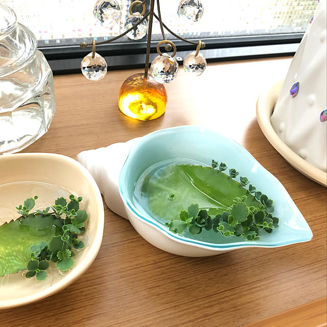 haruminさんの実例写真