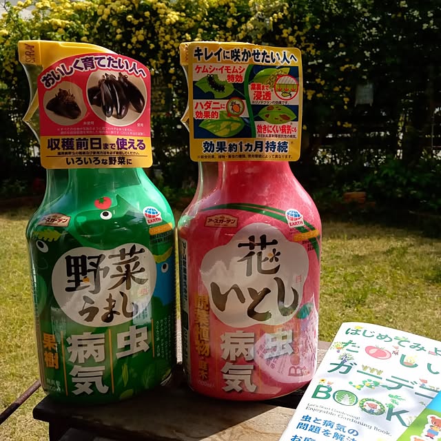 soraさんの実例写真