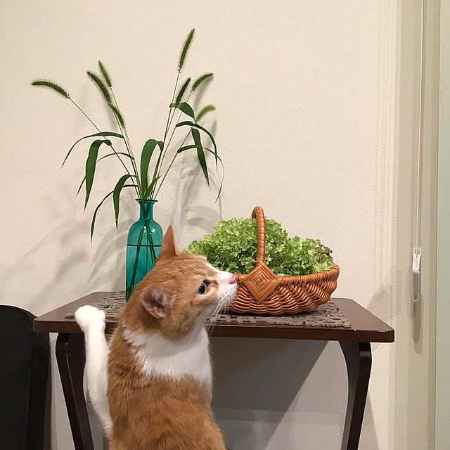houenさんの実例写真