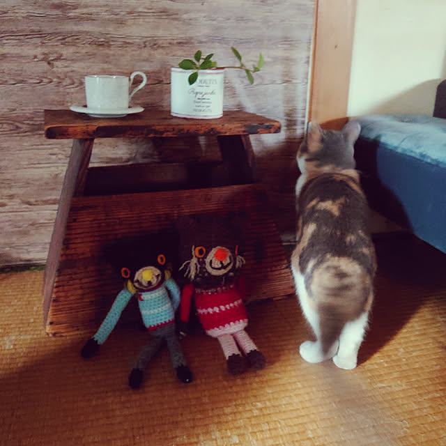 fukuさんの実例写真