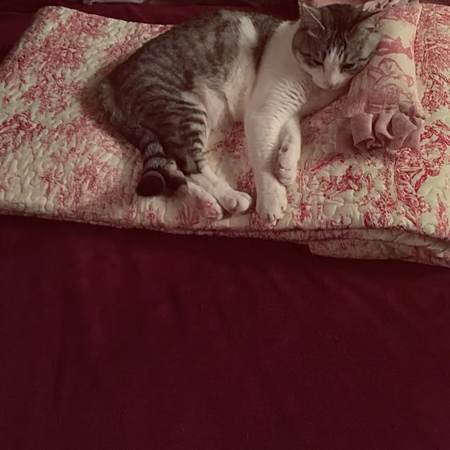 emmyyさんの実例写真