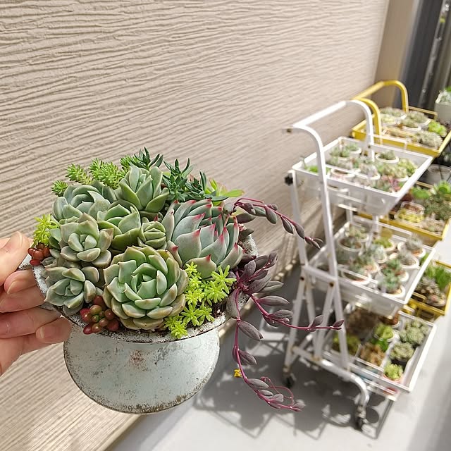 meiさんの実例写真