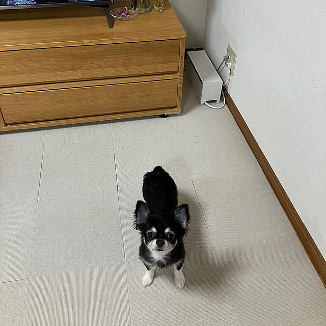 koroさんの部屋