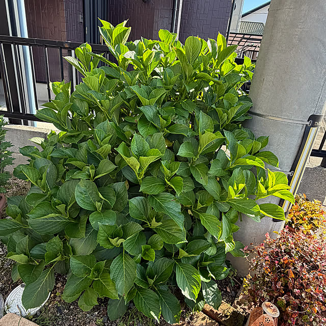 ritsukoさんの部屋
