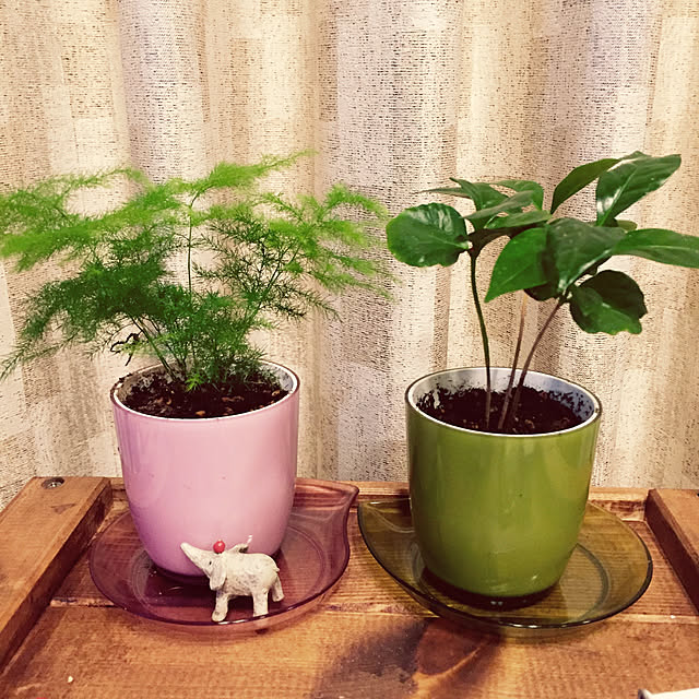 tomoyuzupiさんの実例写真