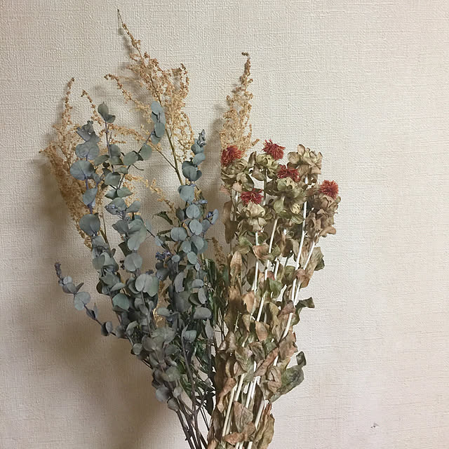 kojiro120513さんの実例写真