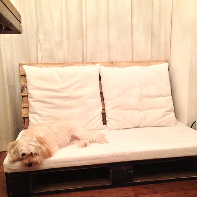 saqura_apartment101さんの実例写真