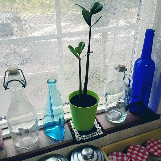 mintさんの実例写真