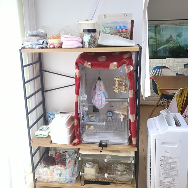 Annaさんの部屋