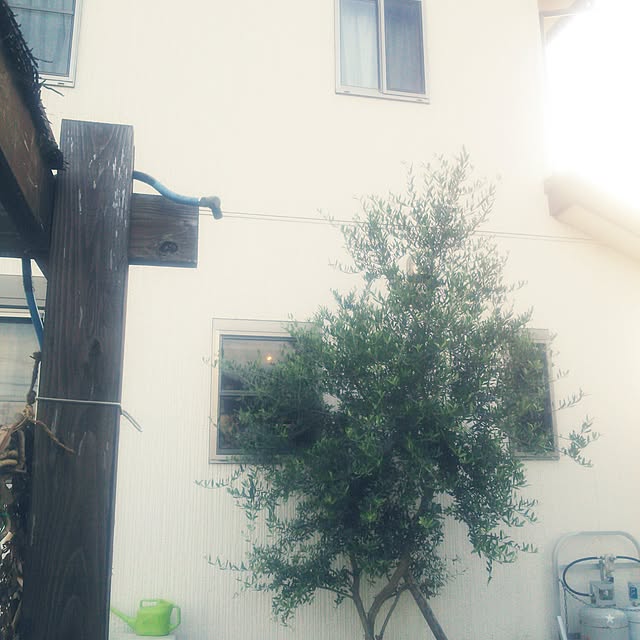 poemwalkさんの実例写真