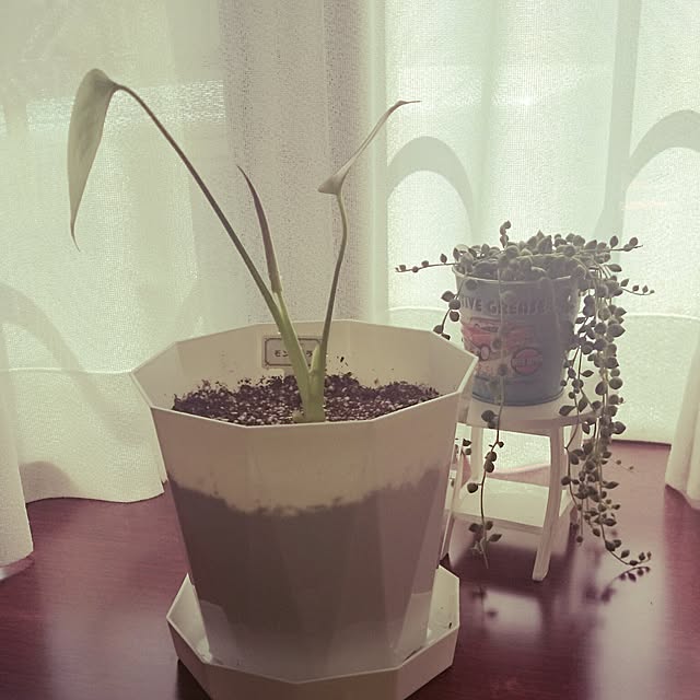 ckさんの実例写真