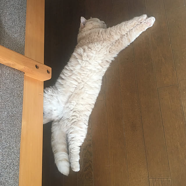 naokoさんの部屋