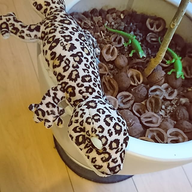 nijintieloveさんの実例写真
