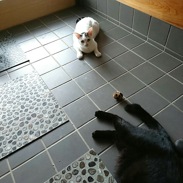 uchizukonyanさんの実例写真