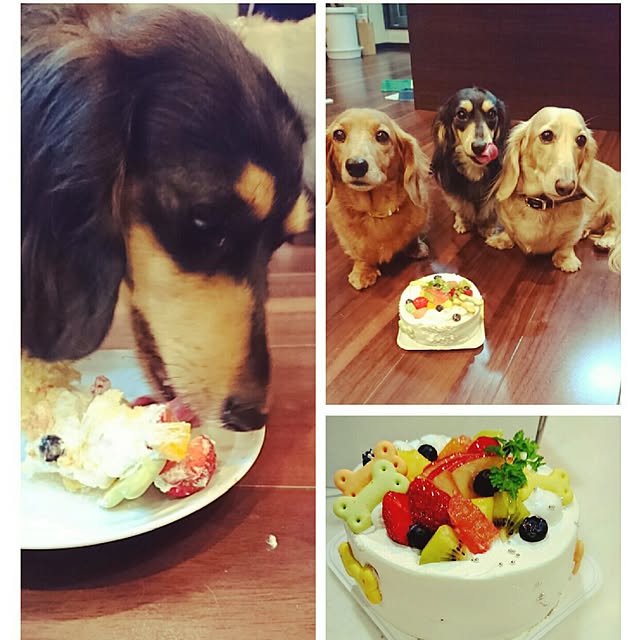 cocosorasakuさんの実例写真