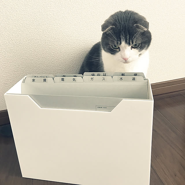 tansukeさんの実例写真